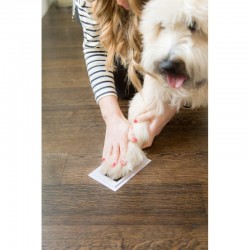 Pearhead Tampon encreur Clean-Touch pour animaux de compagnie, taille M/L,  tampon encreur noir pour chats ou chiens, propriétaire d'animal de  compagnie, article indispensable pour les propriétaires : :  Animalerie