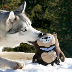Jouet en peluche pour chien - Ours en teddy – inooko