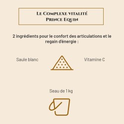 Complexe Vitalité - Saule blanc et Vitamine C - Regain d'Energie, Immunité & Apaisement des Articulations