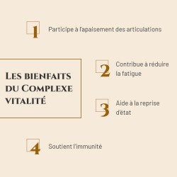 Complexe Vitalité - Saule blanc et Vitamine C - Regain d'Energie, Immunité & Apaisement des Articulations