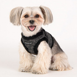 Puppia Terry | Harnais confort et chaud pour petit chien | Fourrure grise