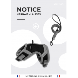 Ensemble harnais et laisse pour chat anti-fugue (taille S, noir) :  : Animalerie