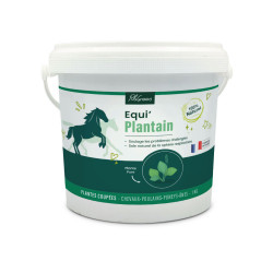 PilaGreen | Equi plantain lancéolé pour cheval