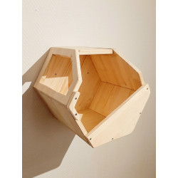 Module hexagonal mural en bois pour chats