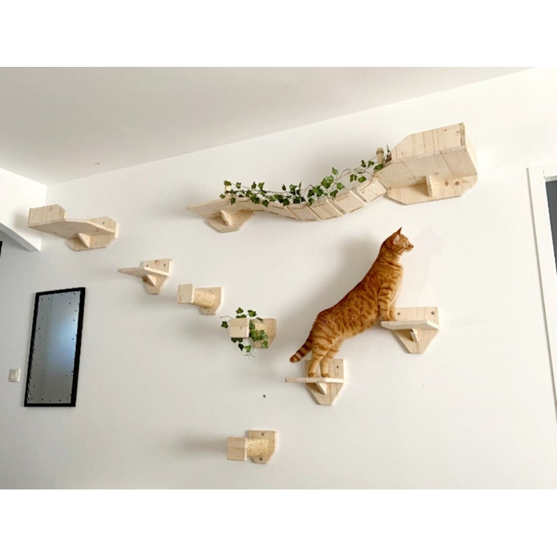 Parc'Wood | Chat | Parcours mural en bois pour chat