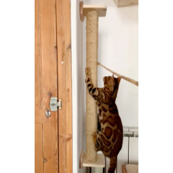 Parc'wood | Chat | Grand Griffoir mural en bois