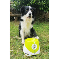 Lanceur de balle automatique pour chien