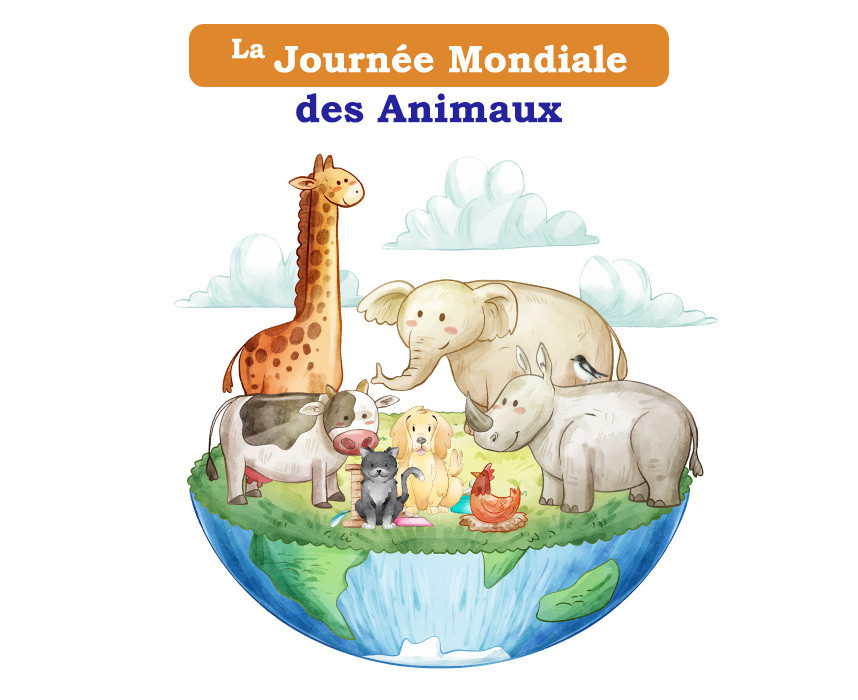Calendrier Nos amis les animaux 2024 - Librairie Vie et Santé