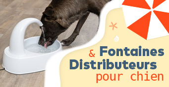 Distributeurs et fontaines pour chien